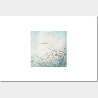 Grasses in the wind Posters and Art